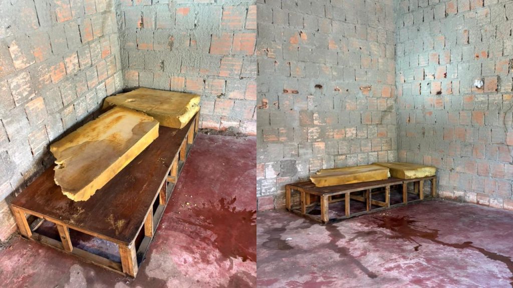 Desnaturados: irmãos são presos em flagrante por maus tratos a mãe de 70 anos no AM